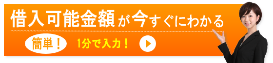 借入可能金額が今すぐにわかる 簡単！1分で入力